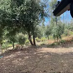 Quinta Do Pinheiro