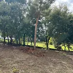 Quinta Do Pinheiro Domek alpejski Ourém