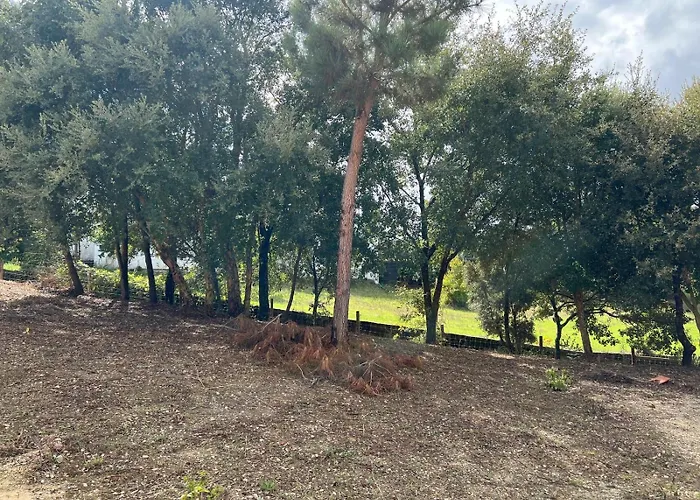 Quinta Do Pinheiro Chalet Ourem